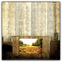 Hey Rosetta! – Seeds Hey Rosetta! – Seeds