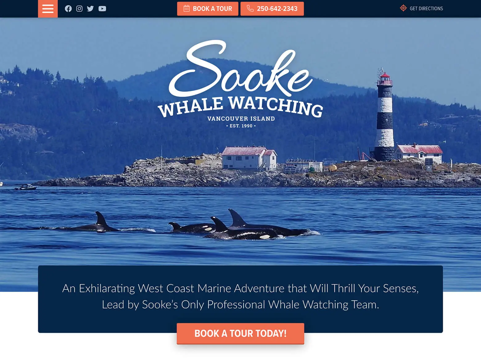 Sooke Whale Watching